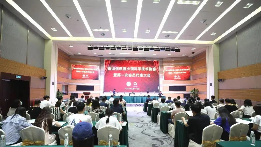 凝聚科技力量、打破西方壟斷：杭州灣信息港科學(xué)技術(shù)協(xié)會(huì)正式成立
